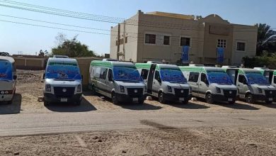 صورة صحة المنيا تنظم قافلة طبية لأهالي قرية الحاج قنديل بمركز ديرمواس