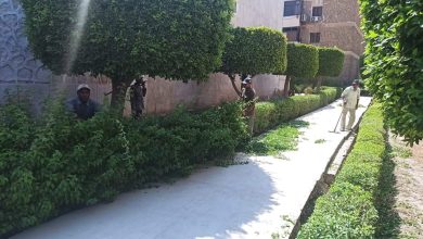 صورة مدينة ١٥ مايو تواصل عمليات تجميل الحدائق